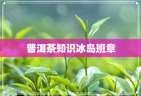 普洱茶知识冰岛班章