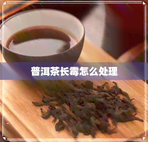 普洱茶长霉怎么处理