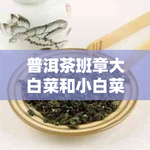 普洱茶班章大白菜和小白菜区别：2003年云南班章大白菜生茶价格解析