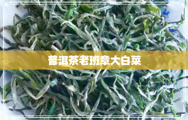 普洱茶老班章大白菜