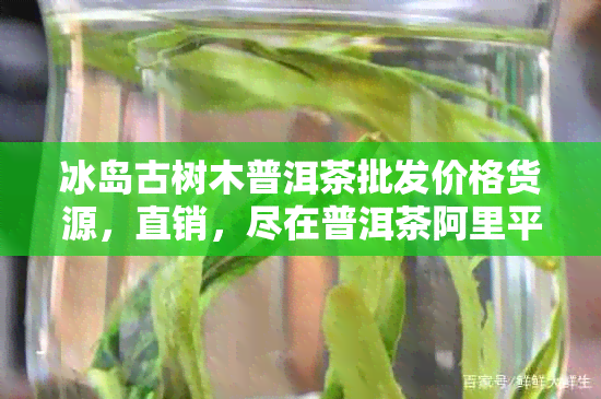 冰岛古树木普洱茶批发价格货源，直销，尽在普洱茶阿里平台