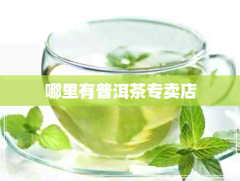 哪里有普洱茶专卖店