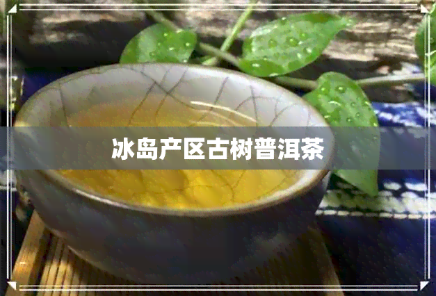 冰岛产区古树普洱茶