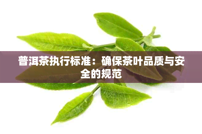 普洱茶执行标准：确保茶叶品质与安全的规范