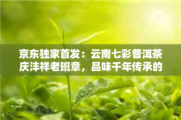 京东独家首发：云南七彩普洱茶庆沣祥老班章，品味千年传承的茶道精髓