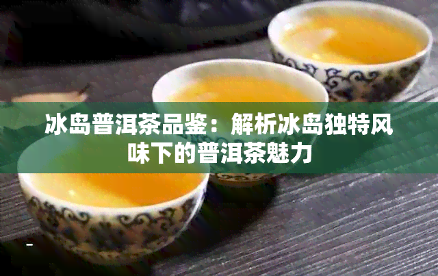 冰岛普洱茶品鉴：解析冰岛独特风味下的普洱茶魅力