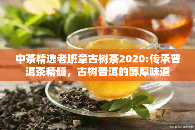 中茶精选老班章古树茶2020:传承普洱茶精髓，古树普洱的醇厚味道