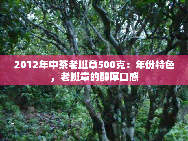 2012年中茶老班章500克：年份特色，老班章的醇厚口感