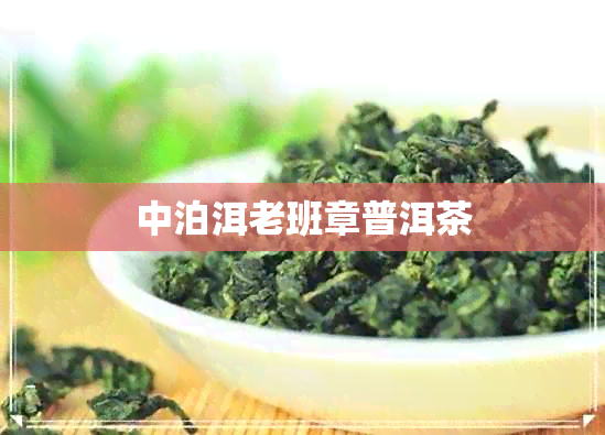 中泊洱老班章普洱茶