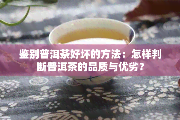 鉴别普洱茶好坏的方法：怎样判断普洱茶的品质与优劣？