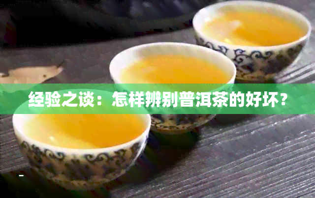 经验之谈：怎样辨别普洱茶的好坏？