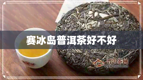 赛冰岛普洱茶好不好