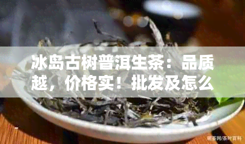 冰岛古树普洱生茶：品质越，价格实！批发及怎么样的体验分享