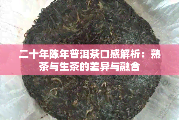 二十年陈年普洱茶口感解析：熟茶与生茶的差异与融合