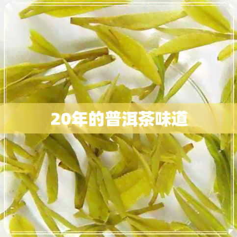 20年的普洱茶味道