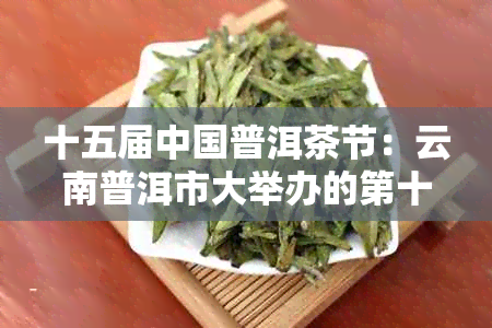 十五届中国普洱茶节：云南普洱市大举办的第十五届博览会