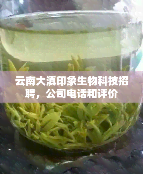 云南大滇印象生物科技招聘，公司电话和评价