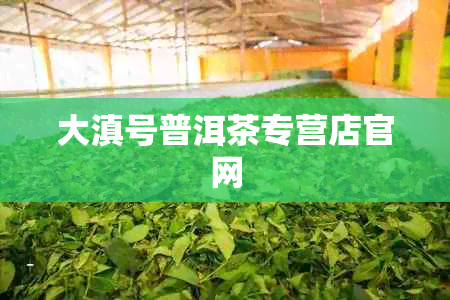 大滇号普洱茶专营店官网