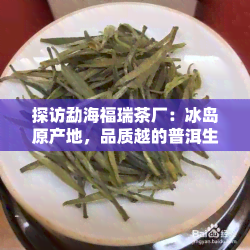 探访勐海福瑞茶厂：冰岛原产地，品质越的普洱生茶与熟茶价格揭秘