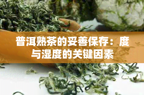 普洱熟茶的妥善保存：度与湿度的关键因素