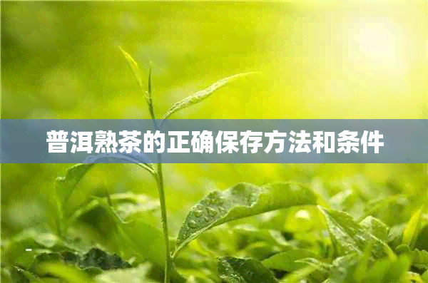 普洱熟茶的正确保存方法和条件