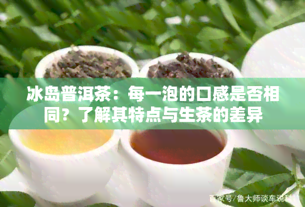 冰岛普洱茶：每一泡的口感是否相同？了解其特点与生茶的差异