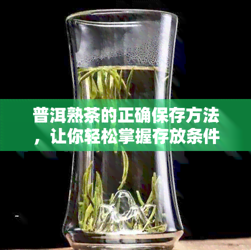 普洱熟茶的正确保存方法，让你轻松掌握存放条件