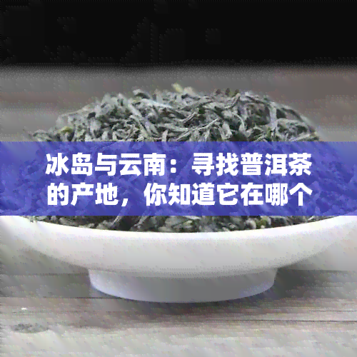 冰岛与云南：寻找普洱茶的产地，你知道它在哪个县吗？