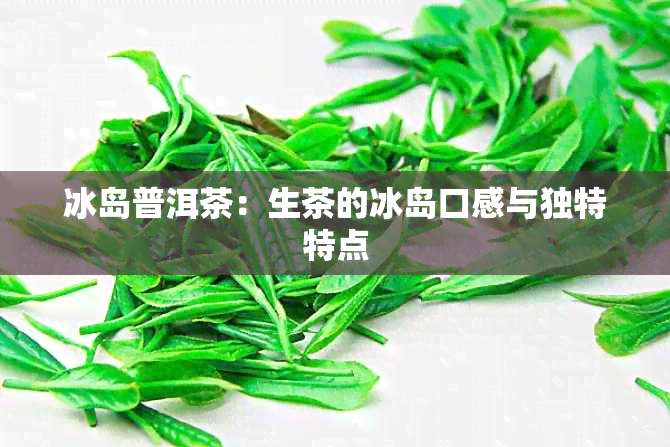 冰岛普洱茶：生茶的冰岛口感与独特特点