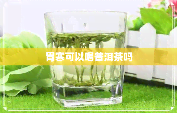 胃寒可以喝普洱茶吗