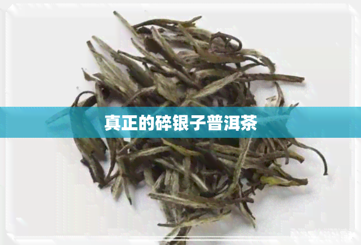 真正的碎银子普洱茶