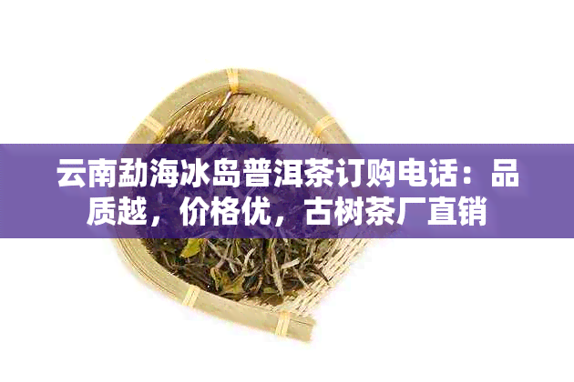 云南勐海冰岛普洱茶订购电话：品质越，价格优，古树茶厂直销