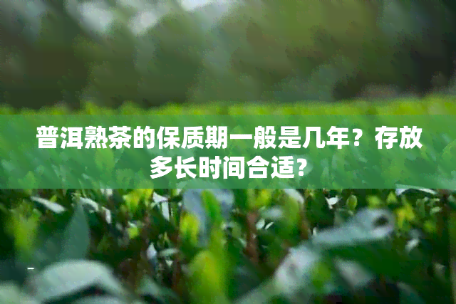 普洱熟茶的保质期一般是几年？存放多长时间合适？