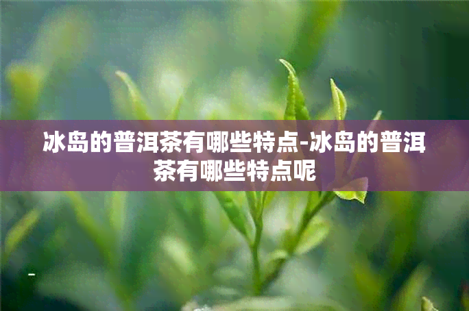 冰岛的普洱茶有哪些特点-冰岛的普洱茶有哪些特点呢