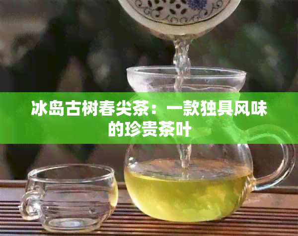 冰岛古树春尖茶：一款独具风味的珍贵茶叶