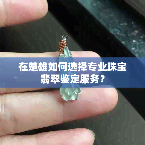 在楚雄如何选择专业珠宝翡翠鉴定服务？