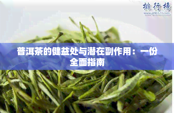 普洱茶的健益处与潜在副作用：一份全面指南