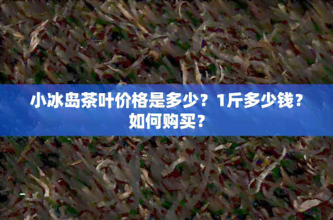 小冰岛茶叶价格是多少？1斤多少钱？如何购买？