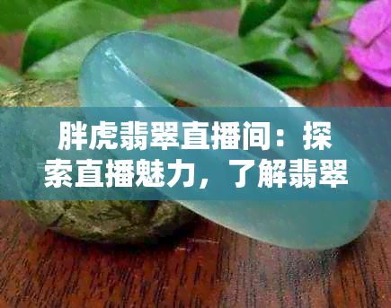 胖虎翡翠直播间：探索直播魅力，了解翡翠价值，不可错过的珠物平台！