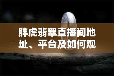 胖虎翡翠直播间地址、平台及如何观看的全解析，让你轻松找到直播！