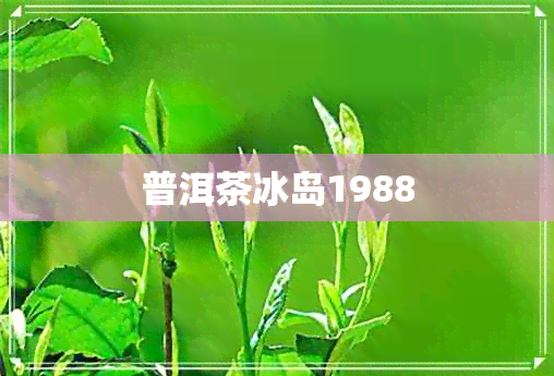 普洱茶冰岛1988