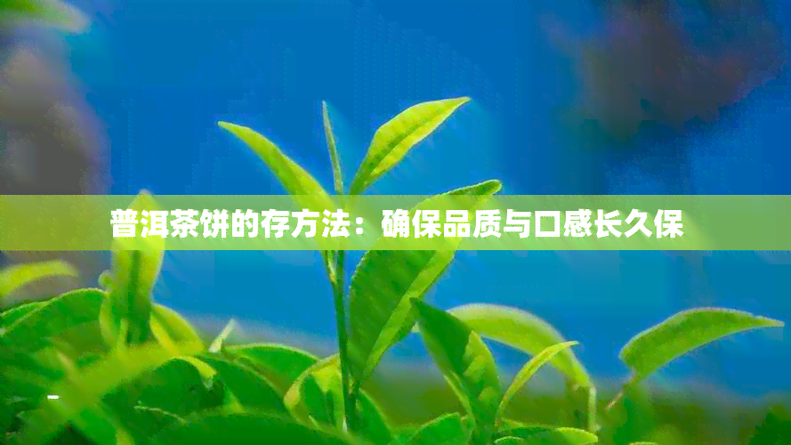 普洱茶饼的存方法：确保品质与口感长久保