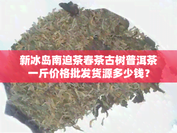 新冰岛南迫茶春茶古树普洱茶一斤价格批发货源多少钱？