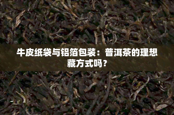 牛皮纸袋与铝箔包装：普洱茶的理想藏方式吗？