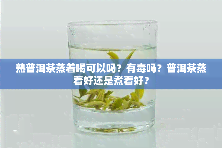 熟普洱茶蒸着喝可以吗？有吗？普洱茶蒸着好还是煮着好？