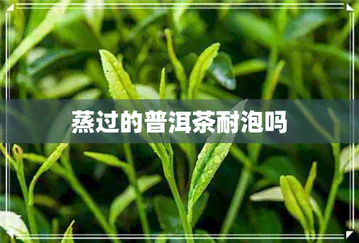 蒸过的普洱茶耐泡吗