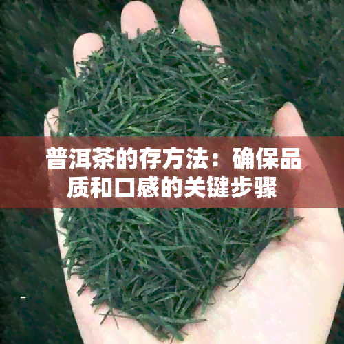 普洱茶的存方法：确保品质和口感的关键步骤