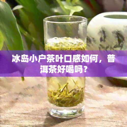 冰岛小户茶叶口感如何，普洱茶好喝吗？