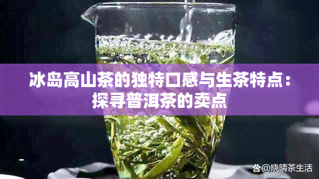 冰岛高山茶的独特口感与生茶特点：探寻普洱茶的卖点