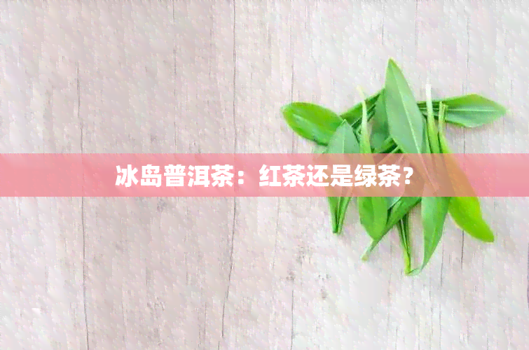 冰岛普洱茶：红茶还是绿茶？